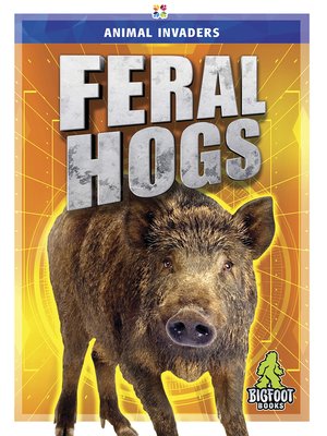 cover image of Feral Hogs